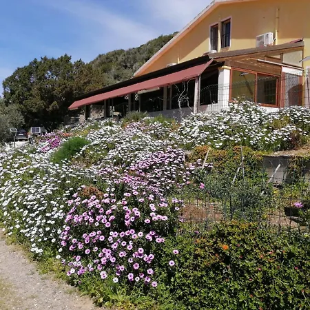 Guest house Il Lentischio Cala Sapone